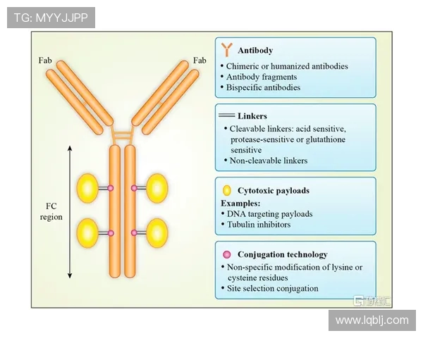 RulerADC职业生涯高光时刻与关键转折深度解析