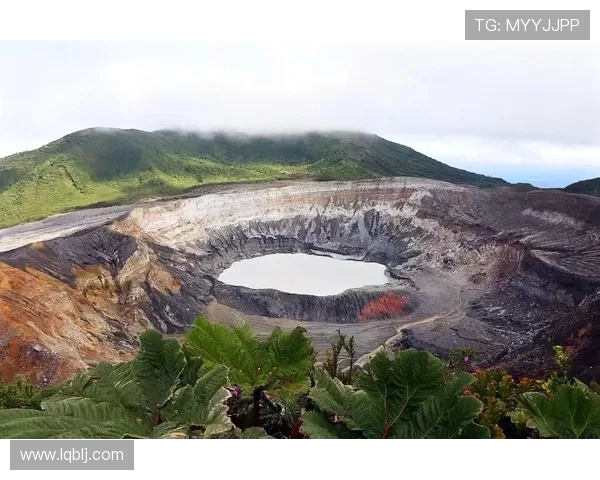 CCTV五频道直播巴西对决哥斯达黎加精彩赛事回顾与分析